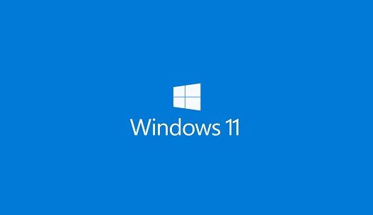 windows 11 pro release date